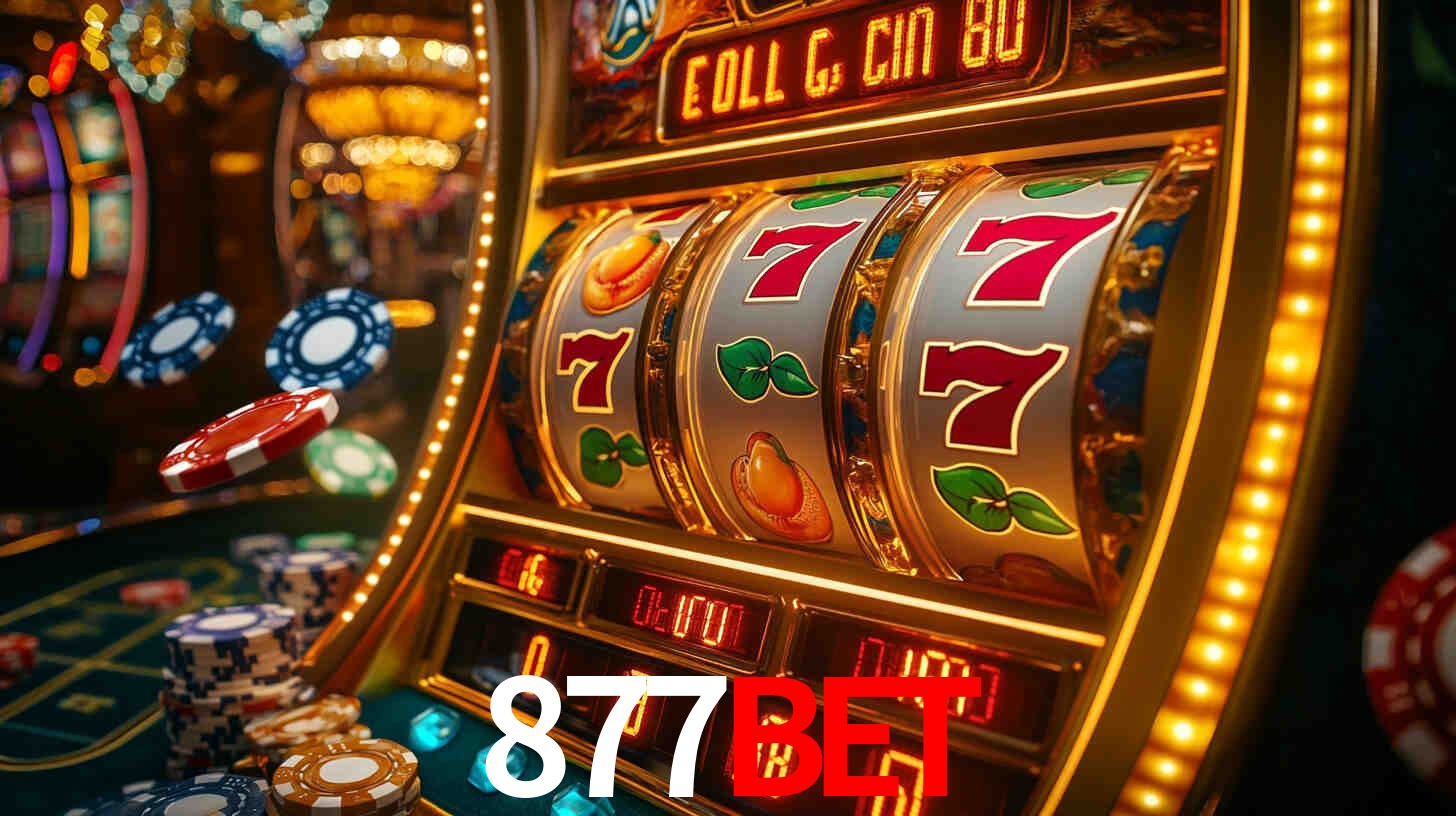 877bet App Interface